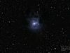 NGC 7023 - Iris Nebula