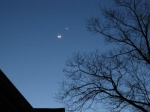 IMG_1338.jpg