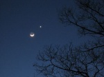 IMG_1339.jpg