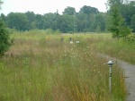 Astro-Sat 8-20-11006.JPG