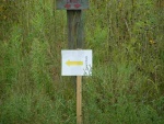 Astro-Sat 8-20-11011.JPG